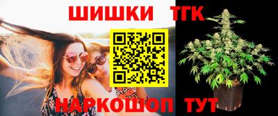 Альфа ПВП Малгобек