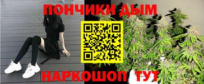 Альфа ПВП Малгобек