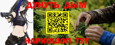 Альфа ПВП Малгобек